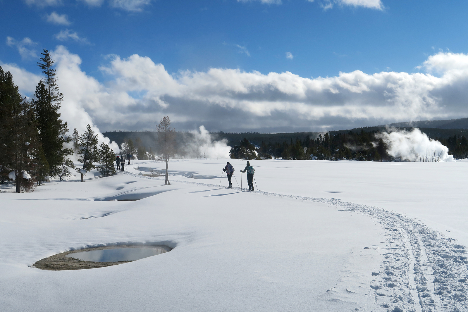 two hikers with x-country skiis in yellowstone in a snowy winter