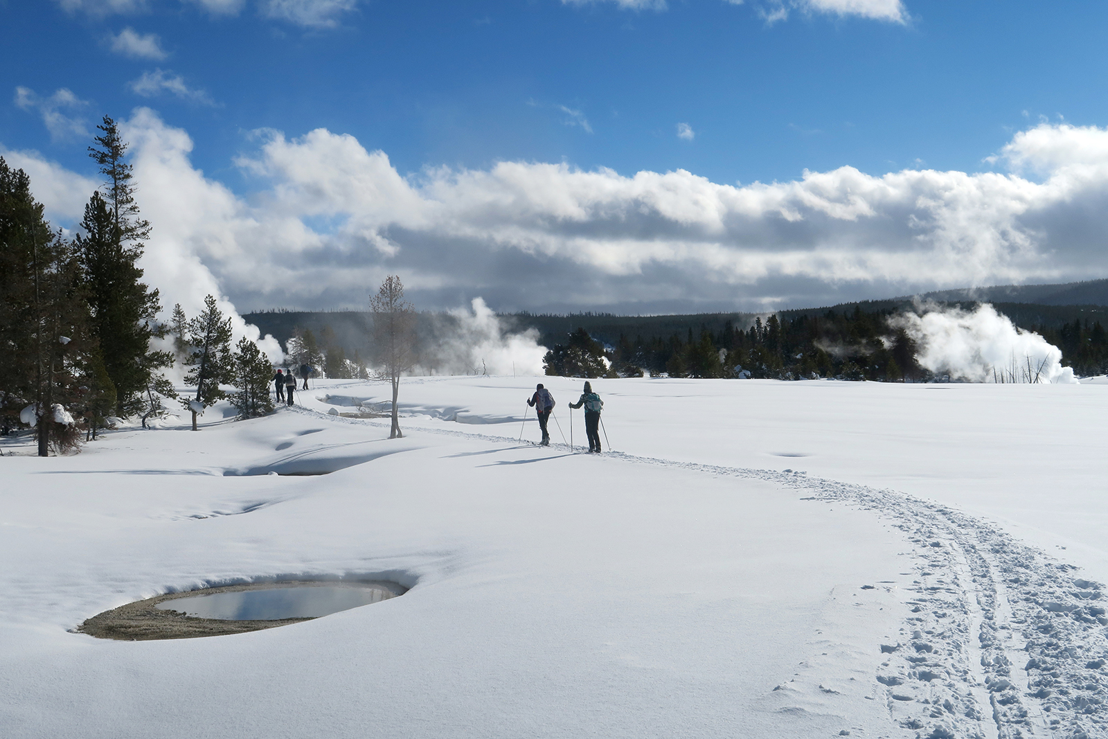 Old Faithful Geyser In Winter