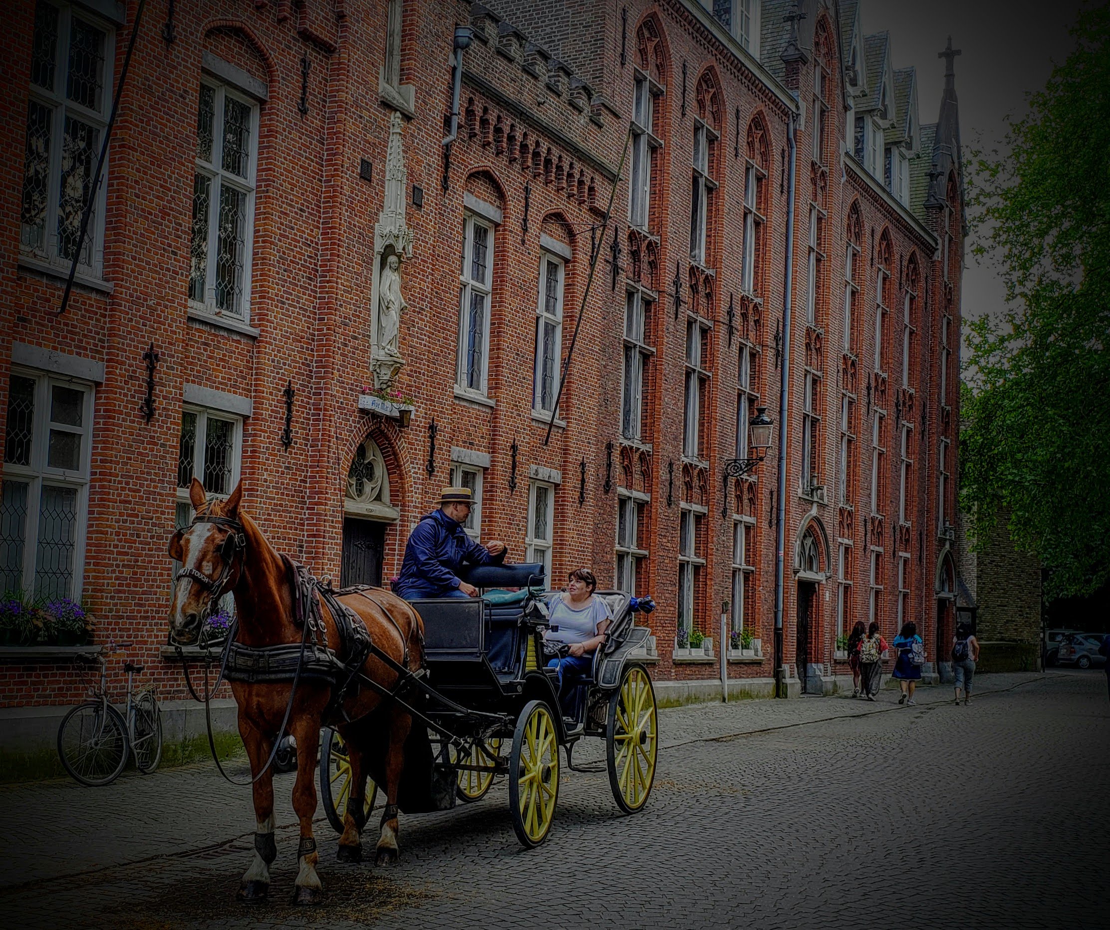 horse-carriage-biking-holland-and-belgium-Steinmetz
