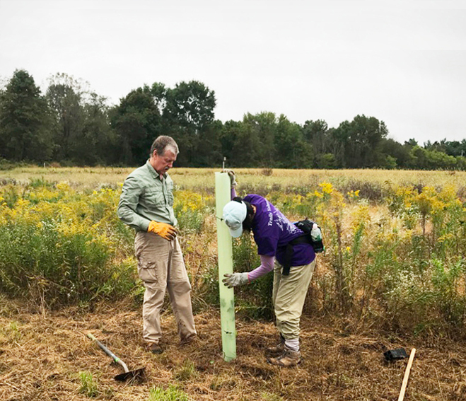 conservation-tree-planting