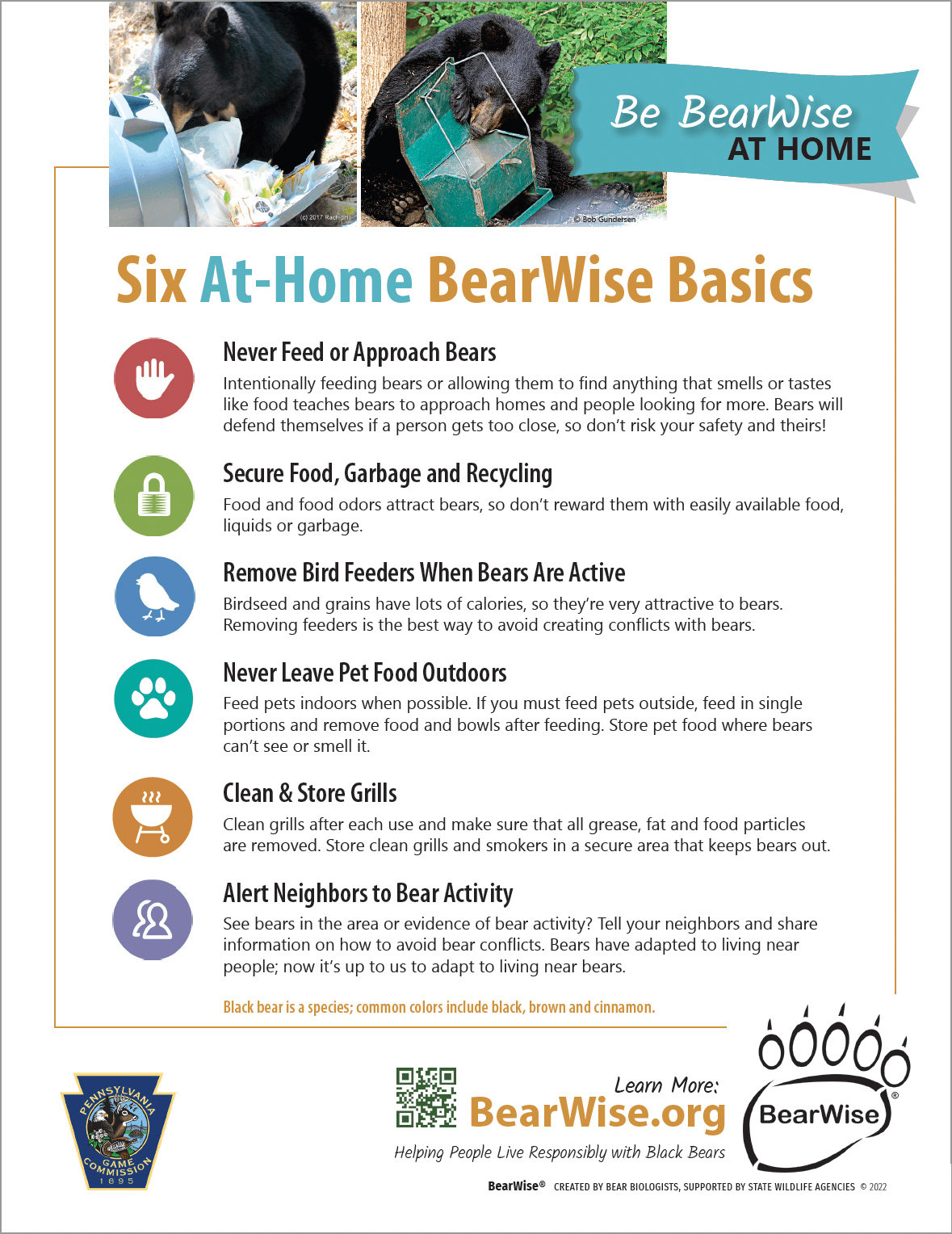 6-basics-flyer-bearwise-2023