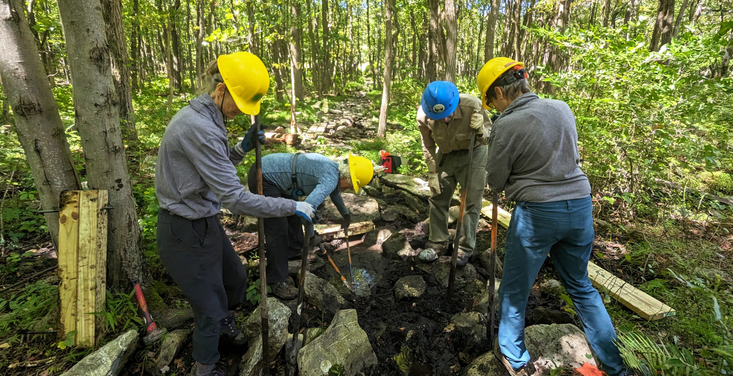 team-of-four-digging-crop-scaled-cropped