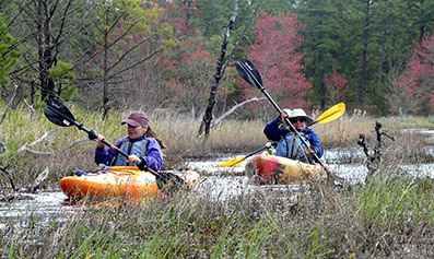 Kayakers on an AMC Delaware Valley Chapter outdoors paddling trip in the New Jersey Pine Barrens.